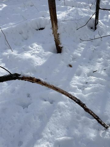 Stuck Road, Marcellus, MI 49067