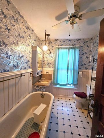 115 E COURT Street, Cambridge, IL 61238