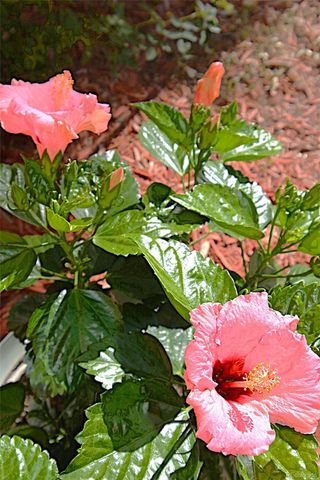 9049 E Nassau Avenue, Denver, CO 80237