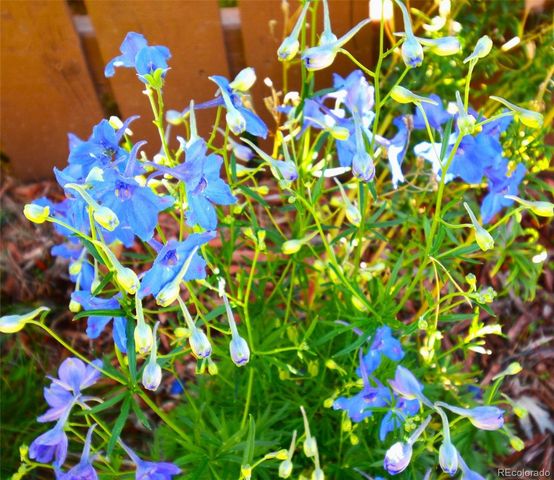 9049 E Nassau Avenue, Denver, CO 80237