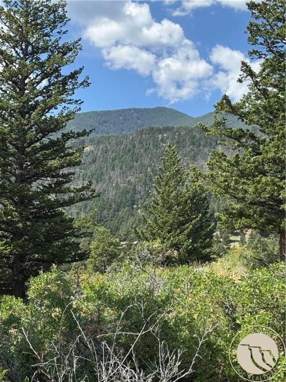 54 Eagle Ridge, Nye, MT 59061 photo 11