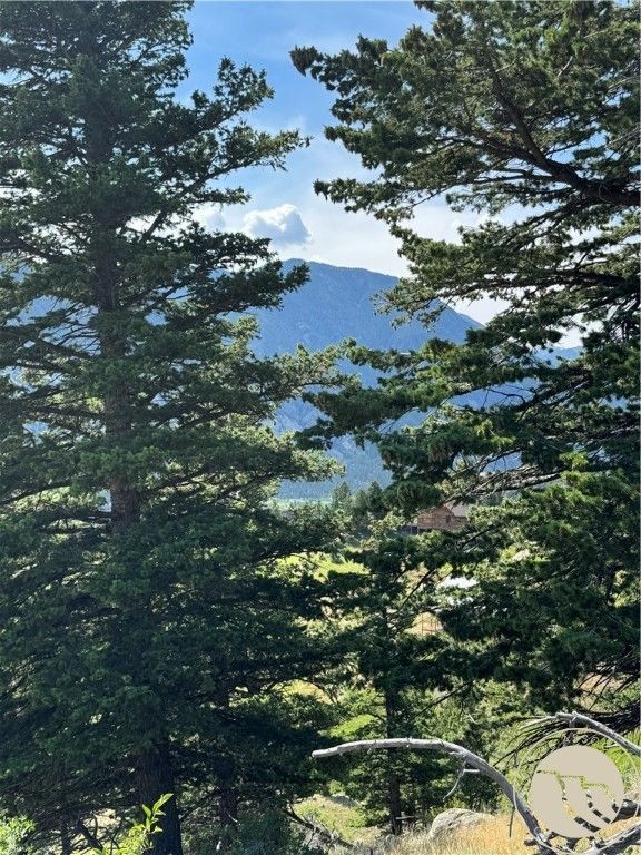 54 Eagle Ridge, Nye, MT 59061 photo 13