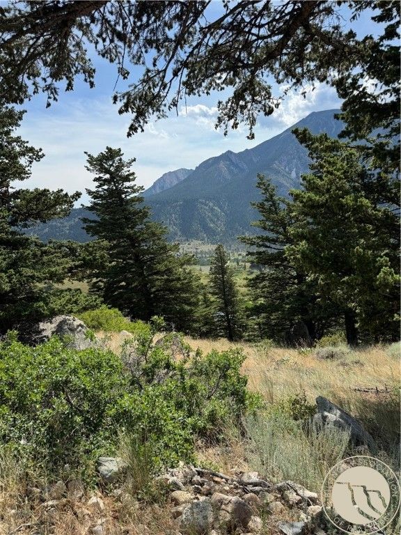 54 Eagle Ridge, Nye, MT 59061 photo 14