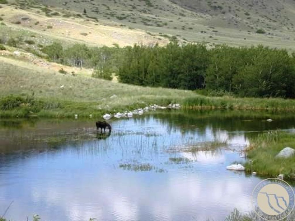 54 Eagle Ridge, Nye, MT 59061 photo 20