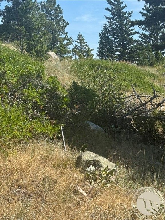 54 Eagle Ridge, Nye, MT 59061 photo 3