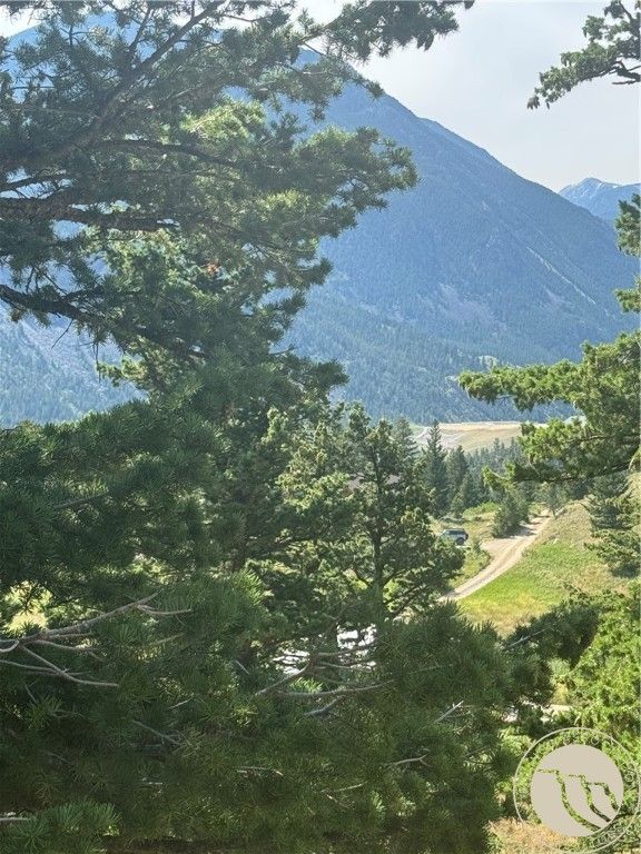 54 Eagle Ridge, Nye, MT 59061 photo 5