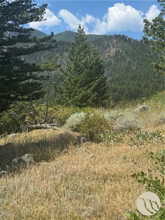 54 Eagle Ridge, Nye, MT 59061 photo 6