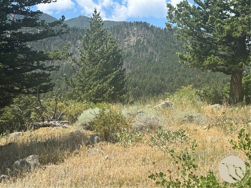 54 Eagle Ridge, Nye, MT 59061 photo 7