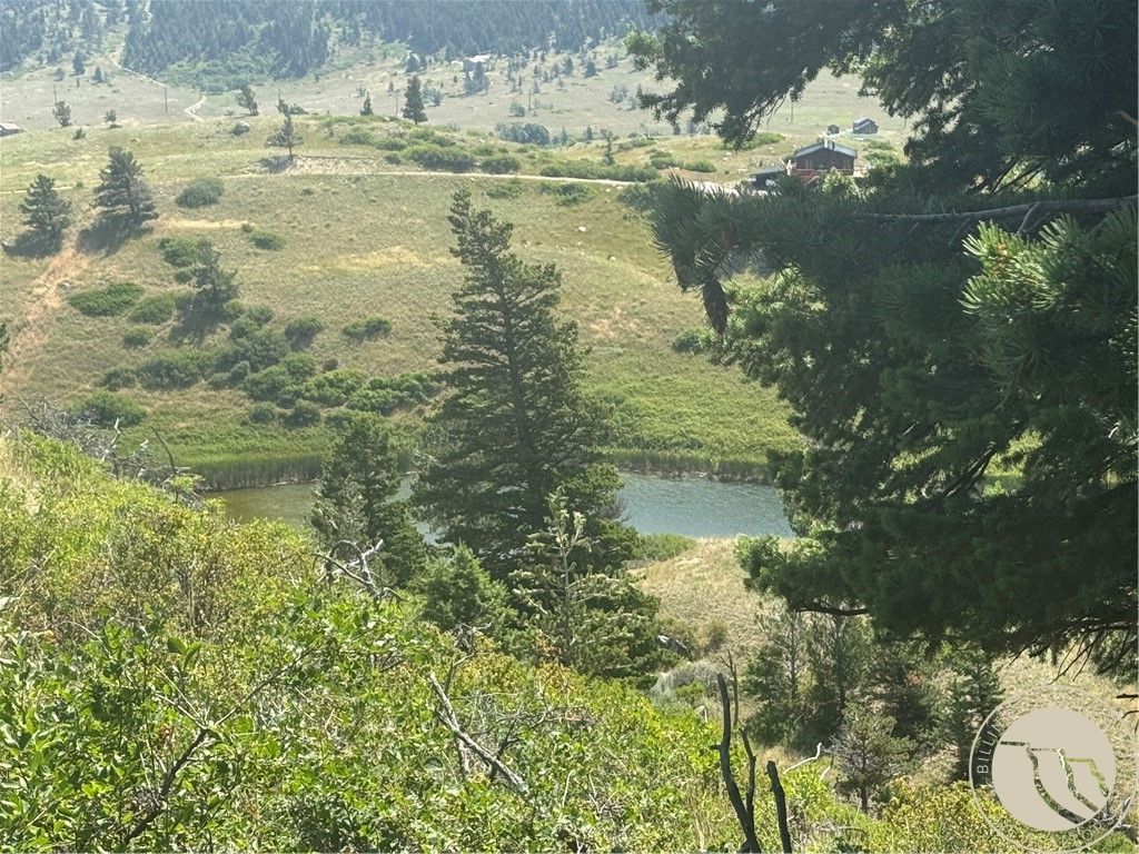 54 Eagle Ridge, Nye, MT 59061 photo 8