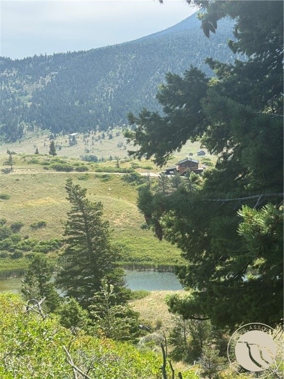 54 Eagle Ridge, Nye, MT 59061 photo 9