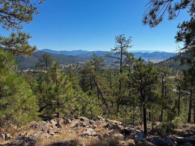 6958 Black Sandy Loop, Helena, MT 59602