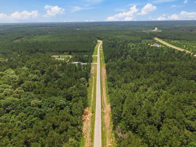 16303 Golden Wood Court, Willis, TX 77378
