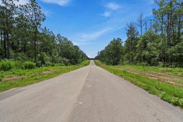 16303 Golden Wood Court, Willis, TX 77378