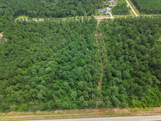 16303 Golden Wood Court, Willis, TX 77378