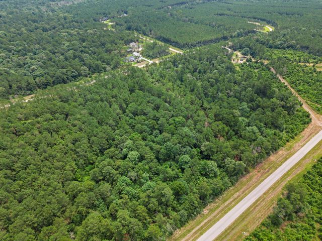 16303 Golden Wood Court, Willis, TX 77378