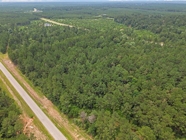 16303 Golden Wood Court, Willis, TX 77378