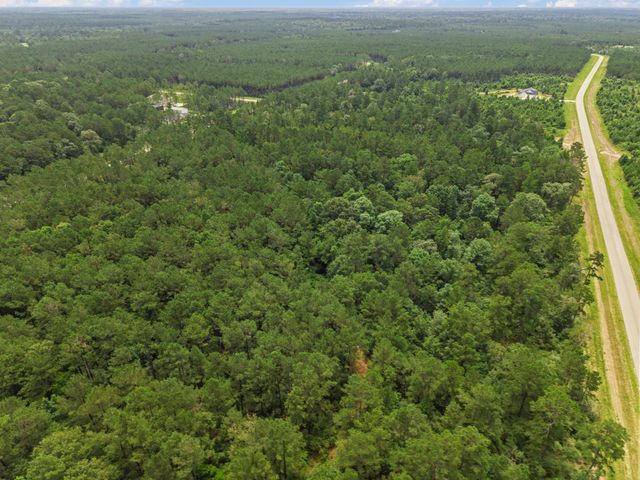 16303 Golden Wood Court, Willis, TX 77378