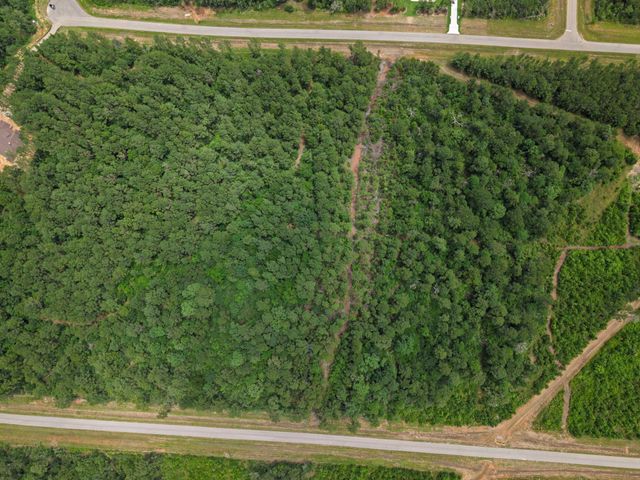16303 Golden Wood Court, Willis, TX 77378