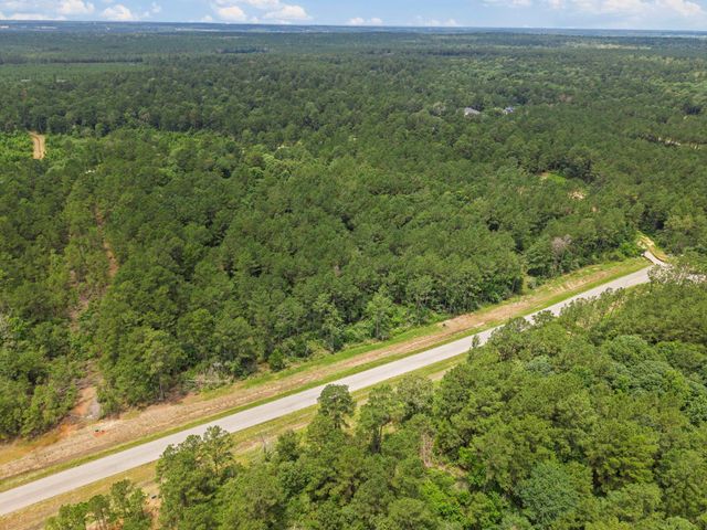 16303 Golden Wood Court, Willis, TX 77378
