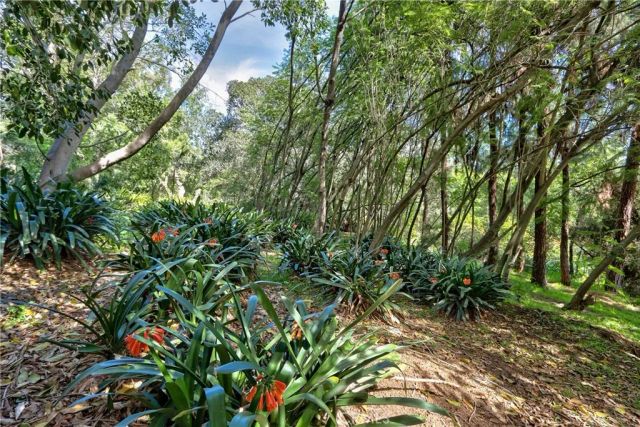 1175 Riverview, Fallbrook, CA 92028