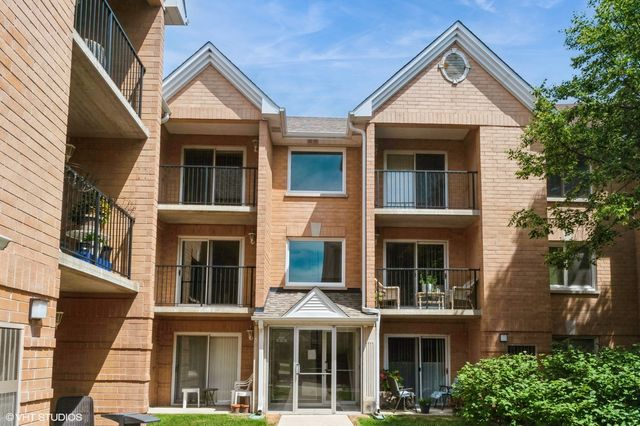 8710 W Evelyn Lane 204, Chicago, IL 60656
