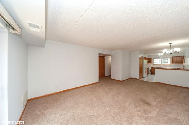8710 W Evelyn Lane 204, Chicago, IL 60656