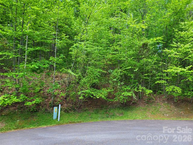 20 Rockbrook Overlook L20, Brevard, NC 28712