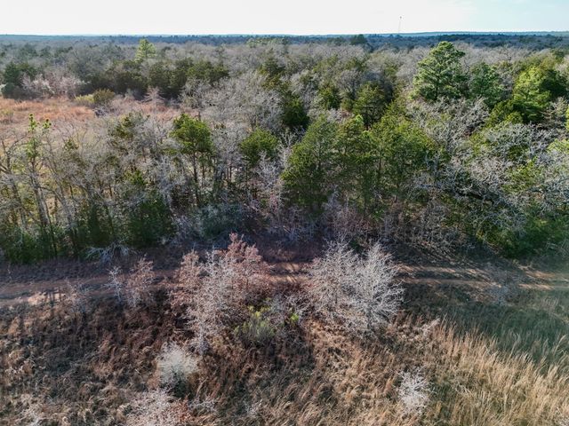 Lot 7 S Old Potato RD, Paige, TX 78659