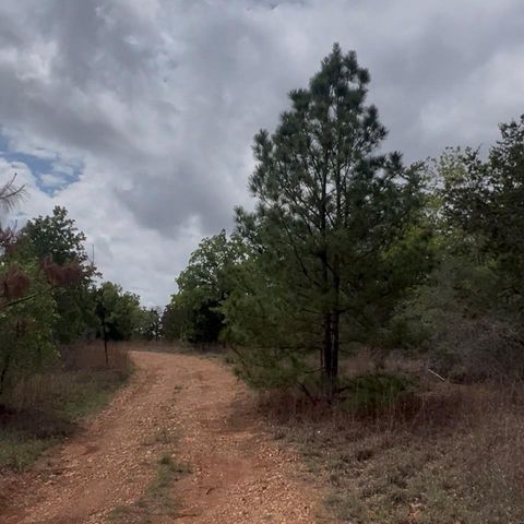 Lot 7 S Old Potato RD, Paige, TX 78659