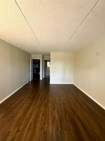 350 Plum Creek Drive 107, Wheeling, IL 60090