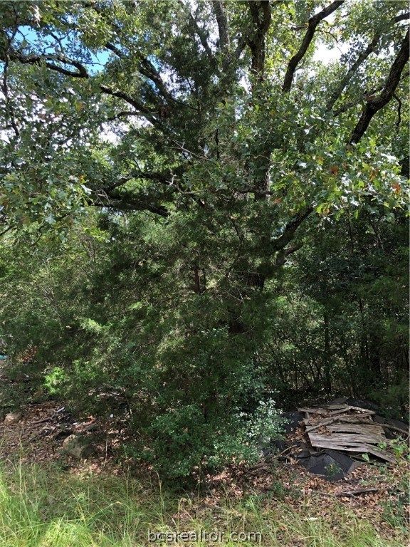 9999 Koppe Bridge Road, College Station, TX 77845 — exterior