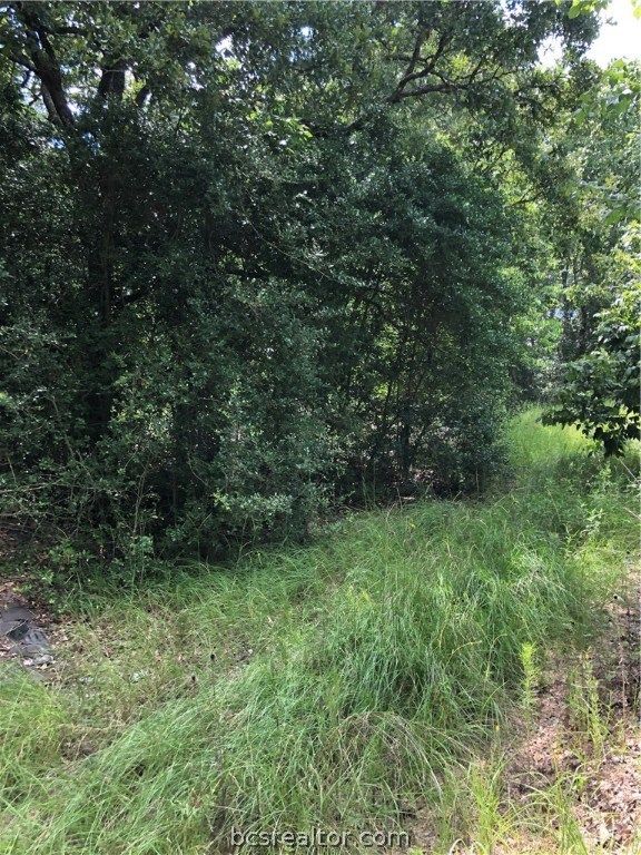 9999 Koppe Bridge Road, College Station, TX 77845 — photo 2