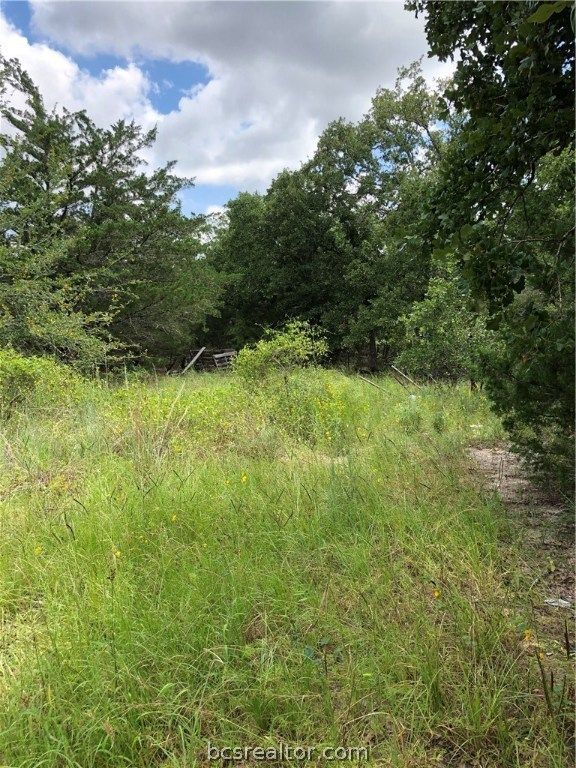 9999 Koppe Bridge Road, College Station, TX 77845 — photo 3