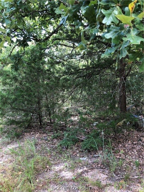 9999 Koppe Bridge Road, College Station, TX 77845 — photo 4