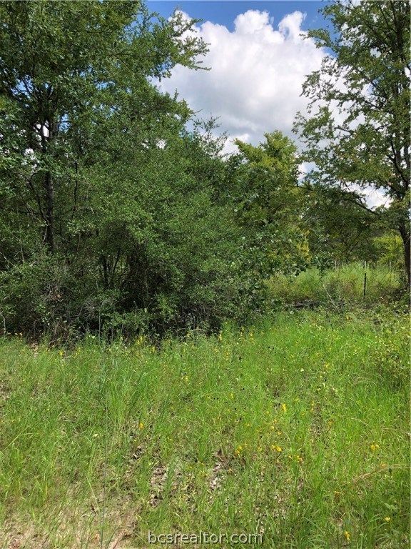 9999 Koppe Bridge Road, College Station, TX 77845 — photo 5