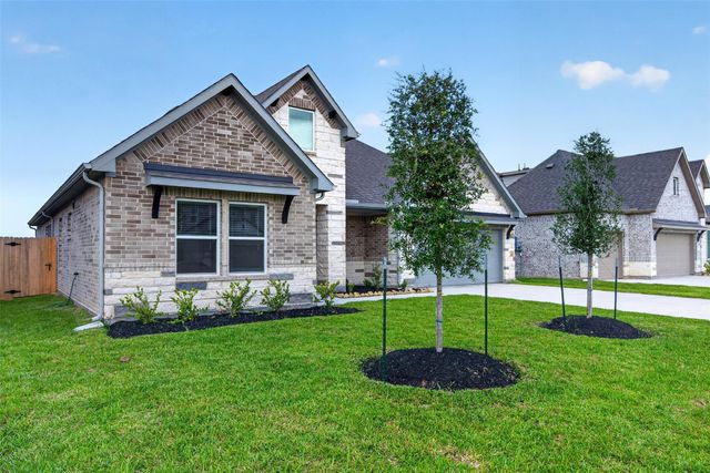 3523 Windmill Palm Drive, Alvin, TX 77578