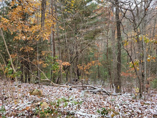 Lot 21 Hickory Tree St, Sevierville, TN 37876