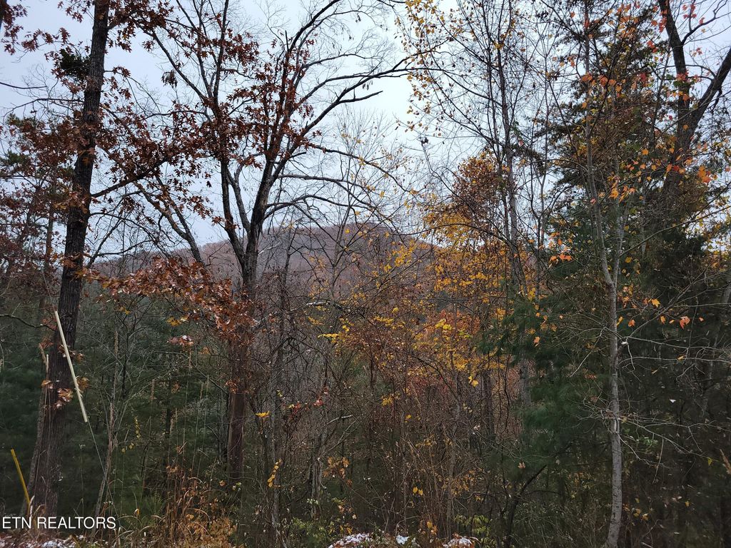 Lot 21 Hickory Tree St, Sevierville, TN 37876