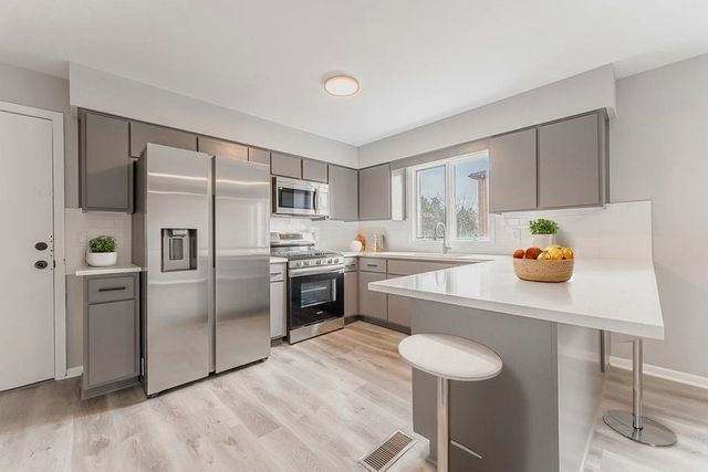 11111 Helena Drive 3, Palos Hills, IL 60465