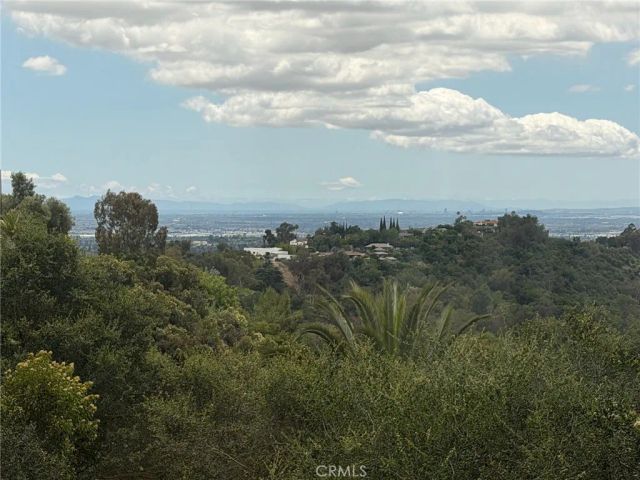 1782 E Skyline, La Habra Heights, CA 90631