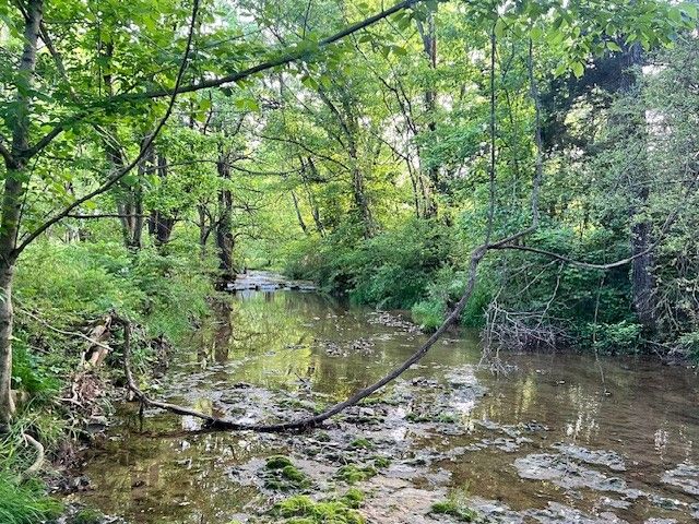 698 Clearview Rd, Cottontown, TN 37048