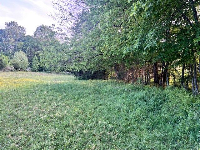 698 Clearview Rd, Cottontown, TN 37048