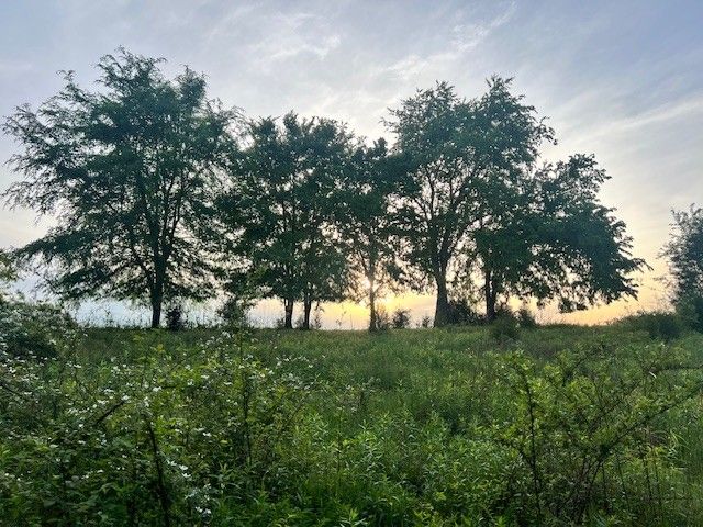 698 Clearview Rd, Cottontown, TN 37048