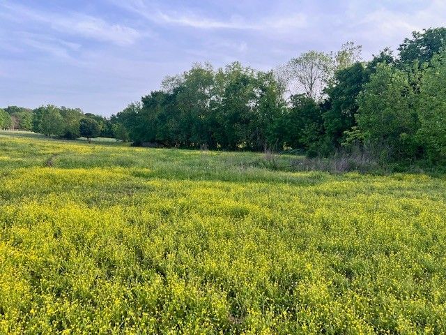698 Clearview Rd, Cottontown, TN 37048