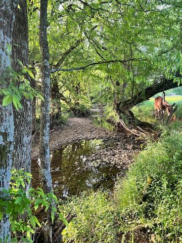 698 Clearview Rd, Cottontown, TN 37048