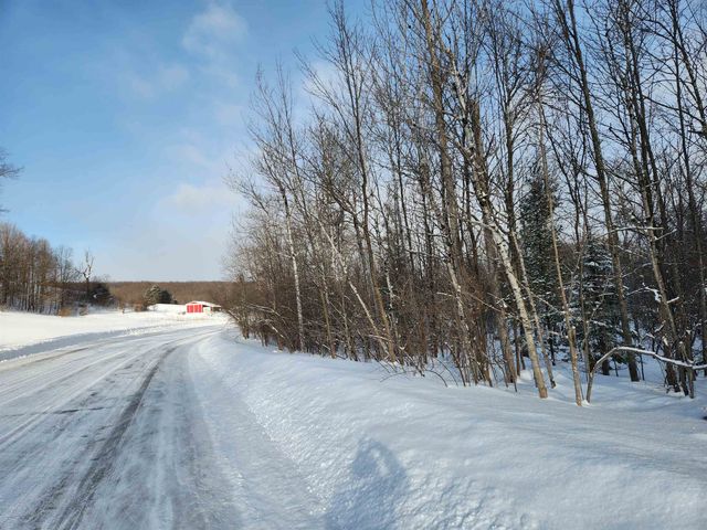 TBD Valley Road, Nw, Rapid City, MI 49676