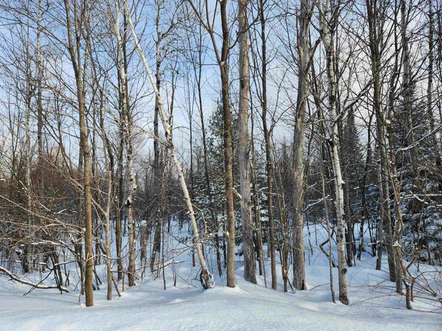 TBD Valley Road, Nw, Rapid City, MI 49676