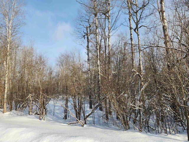 TBD Valley Road, Nw, Rapid City, MI 49676