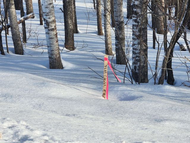 TBD Valley Road, Nw, Rapid City, MI 49676