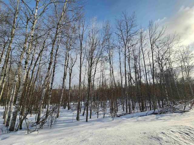 TBD Valley Road, Nw, Rapid City, MI 49676